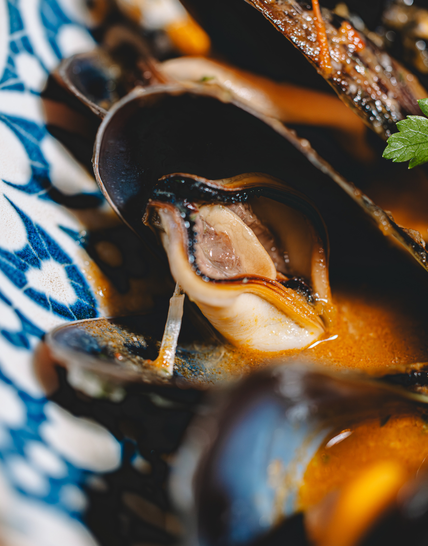 Pescado fresco en sierra nevada